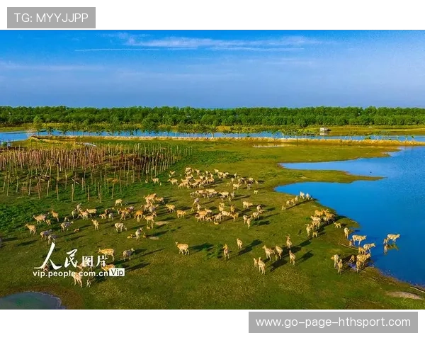 法拉利湿地迷路