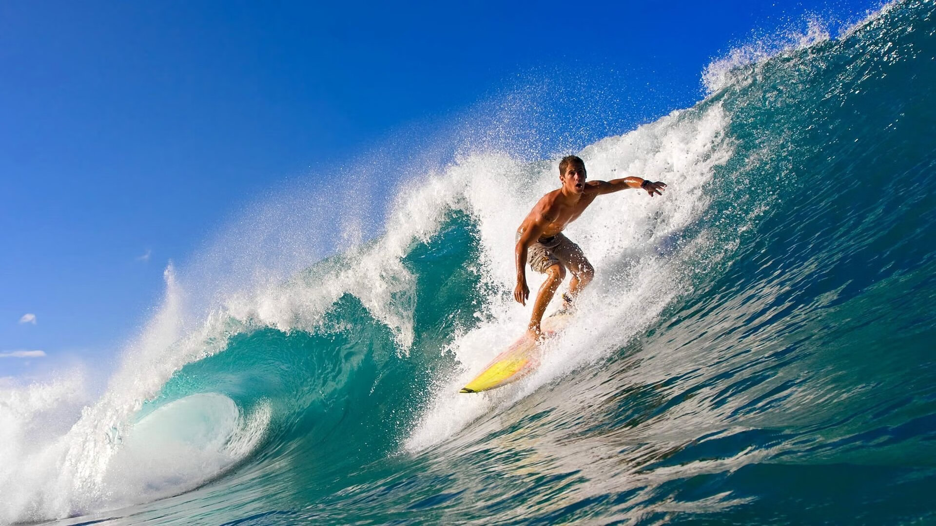 体育赛事数字媒体传播